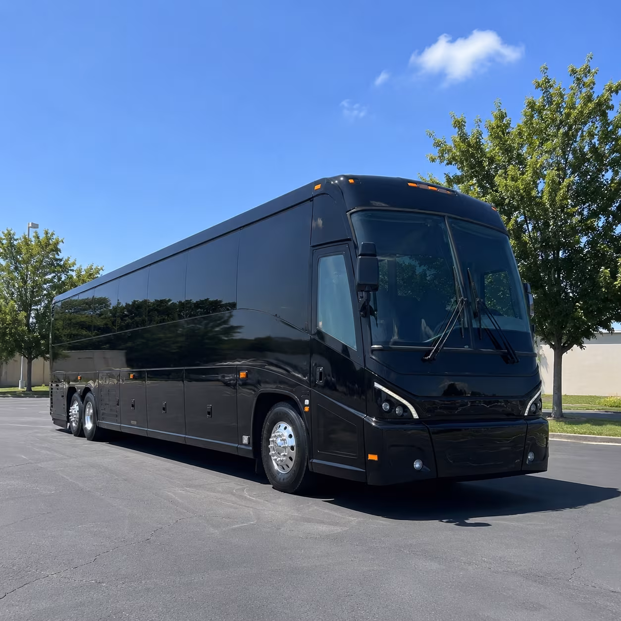 bowling green 56 passenger charter bus